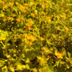 Meet your Posher, Abigail